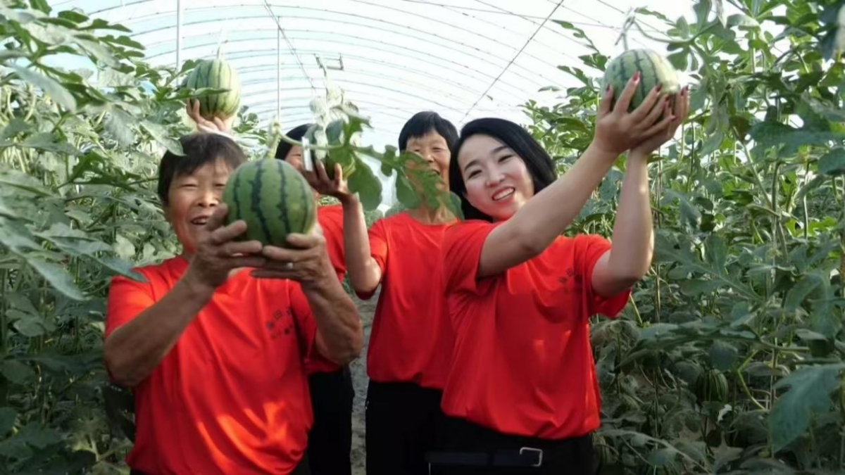 融媒体网.中国|90后新农人深耕绿色农业